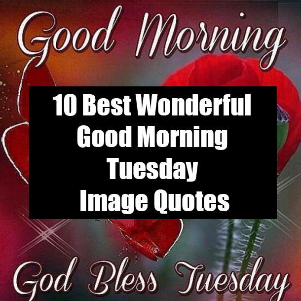10 Best Wonderful Good Morning Tuesday Image Quotes
