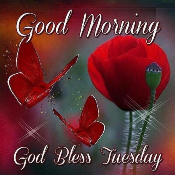 10 Best Wonderful Good Morning Tuesday Image Quotes - picture 4