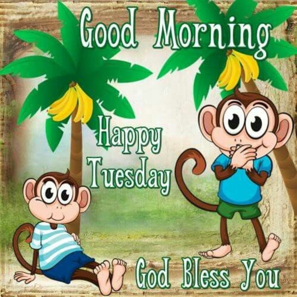 10 Best Wonderful Good Morning Tuesday Image Quotes - picture 6