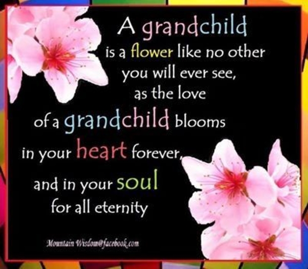 10 Best & Beautiful Grandmother Quotes To Show Grandma - picture 7