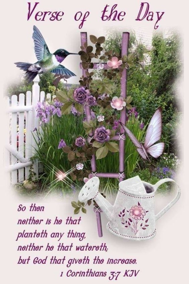 10 Bible Verses Daily To Share - picture 3