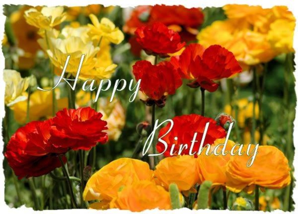 10 Birthday Wishes For Someone Very Special - picture 4