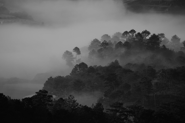 10 Black-And-White Photography Images Of Nature - picture 10
