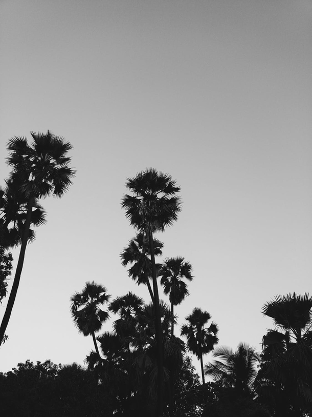 10 Black-And-White Photography Images Of Nature - picture 11