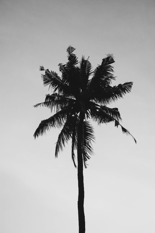 10 Black-And-White Photography Images Of Nature - picture 2