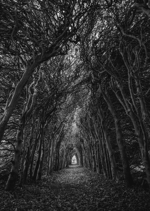 10 Black-And-White Photography Images Of Nature - picture 4