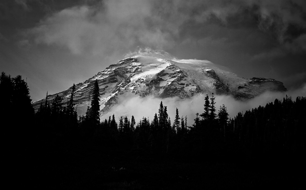 10 Black-And-White Photography Images Of Nature - picture 5