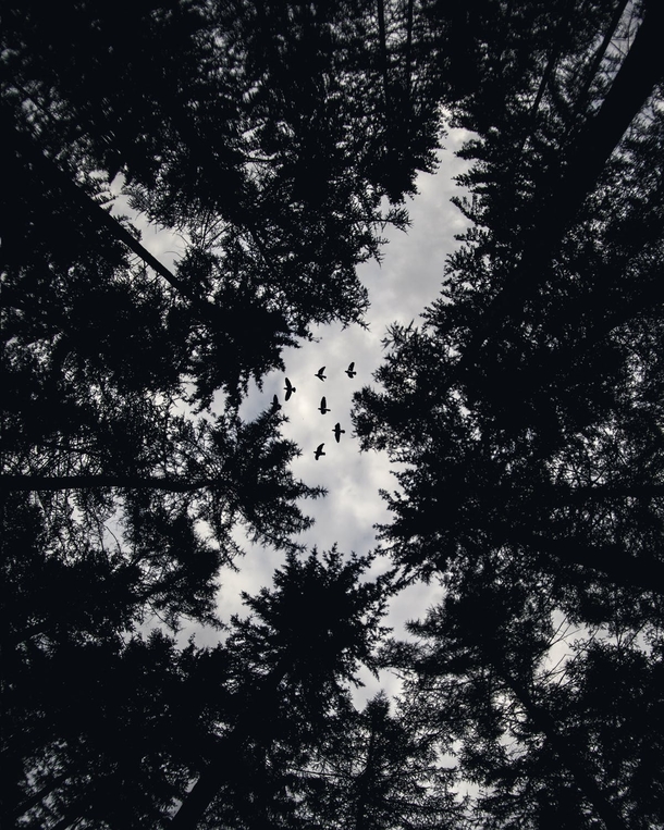 10 Black-And-White Photography Images Of Nature - picture 6