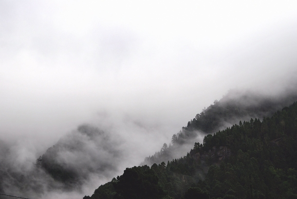 10 Black-And-White Photography Images Of Nature - picture 7