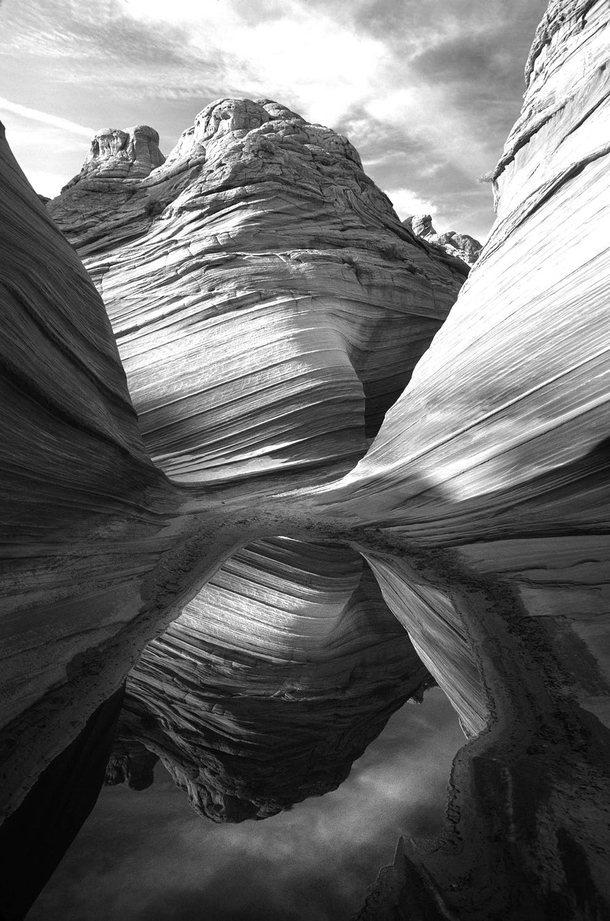 10 Black-And-White Photography Images Of Nature - picture 8