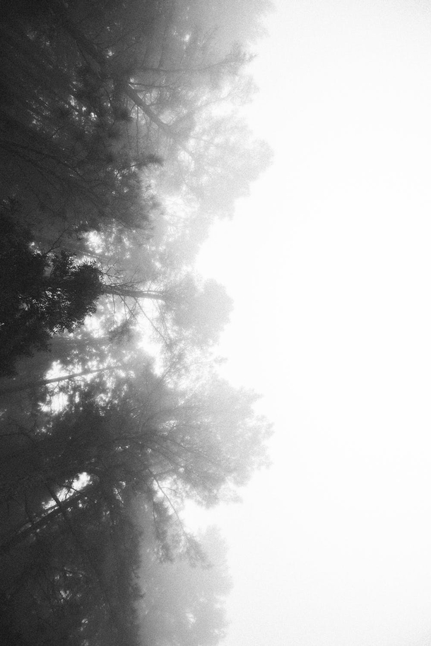 10 Black-And-White Photography Images Of Nature - picture 9