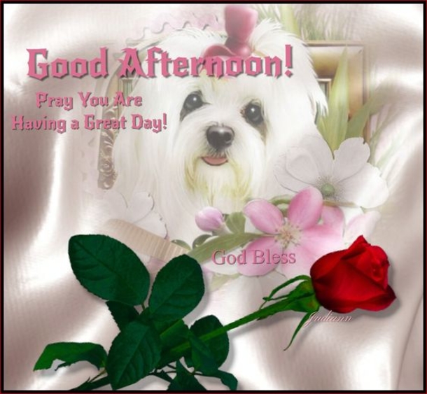 10 Blessed Afternoon Quotes To Share - picture 9
