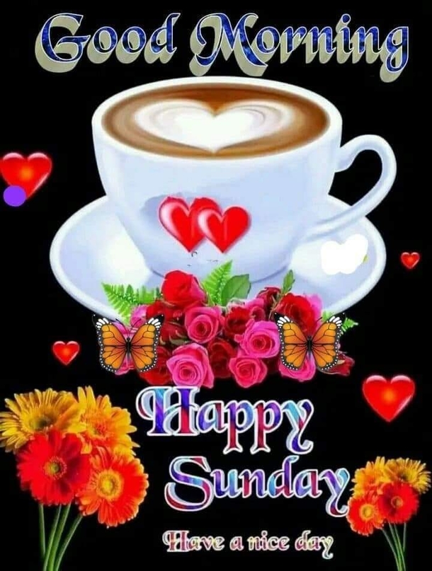 10 Blessed And Beautiful Sunday Quotes For Happiness Throughout The Day - picture 2