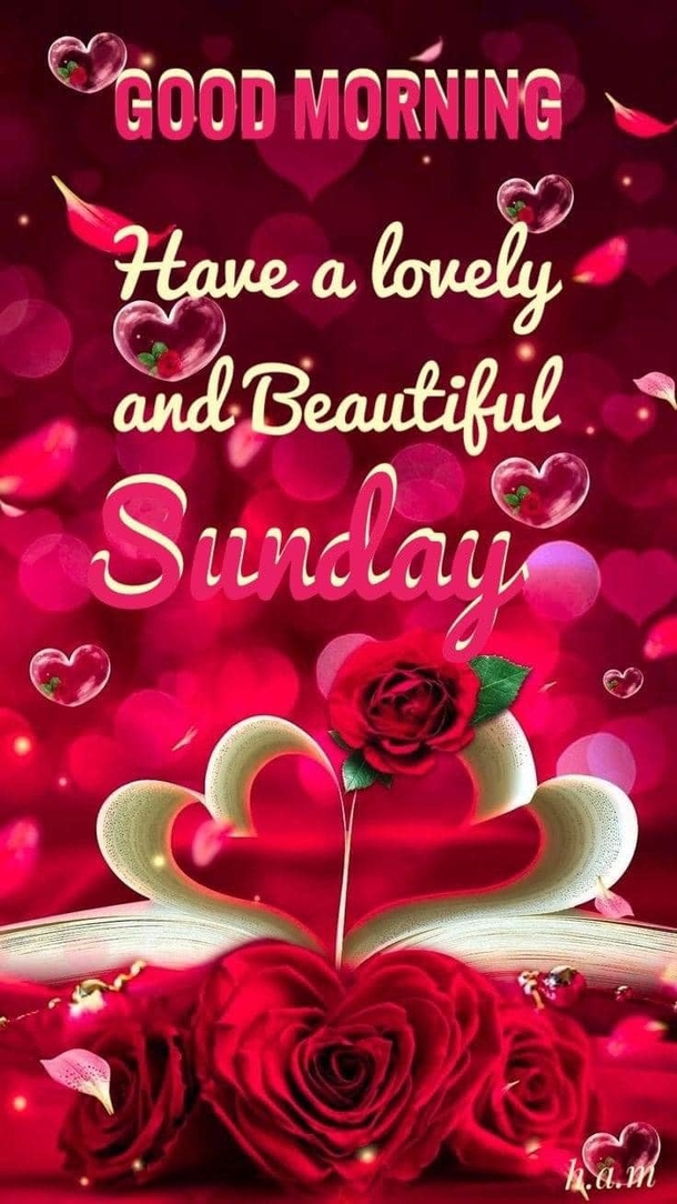 10 Blessed And Beautiful Sunday Quotes For Happiness Throughout The Day - picture 3