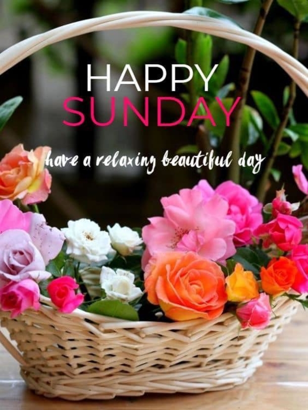 10 Blessed And Beautiful Sunday Quotes For Happiness Throughout The Day - picture 6
