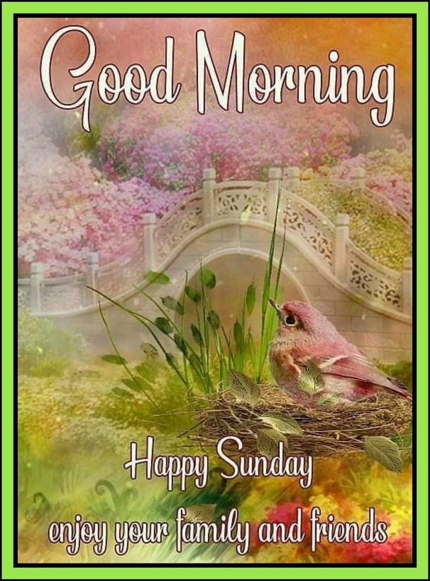 10 Blessed And Beautiful Sunday Quotes For Happiness Throughout The Day - picture 8