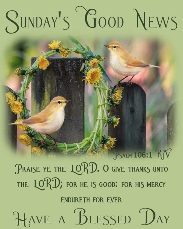 10 Blessed And Beautiful Sunday Wishes & Greetings - picture 10