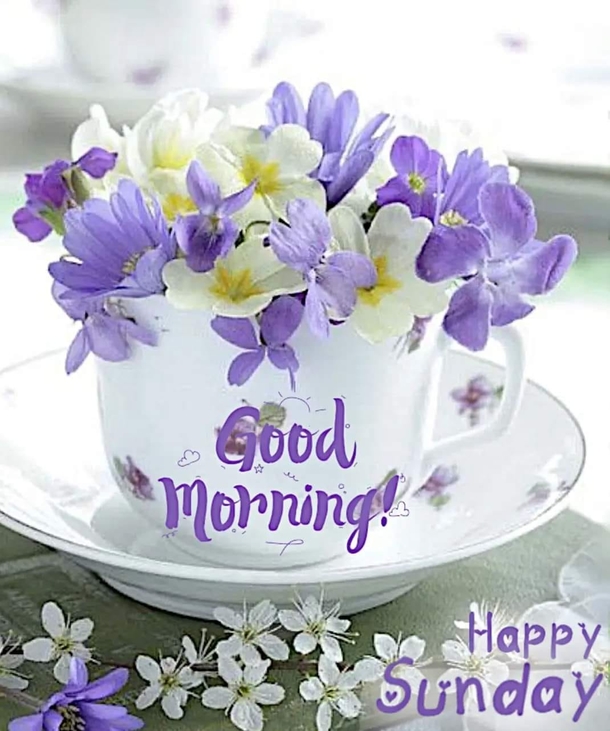10 Blessed And Beautiful Sunday Wishes & Greetings - picture 4