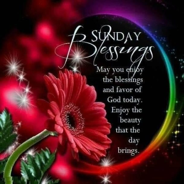 10 Blessed And Beautiful Sunday Wishes & Greetings - picture 5