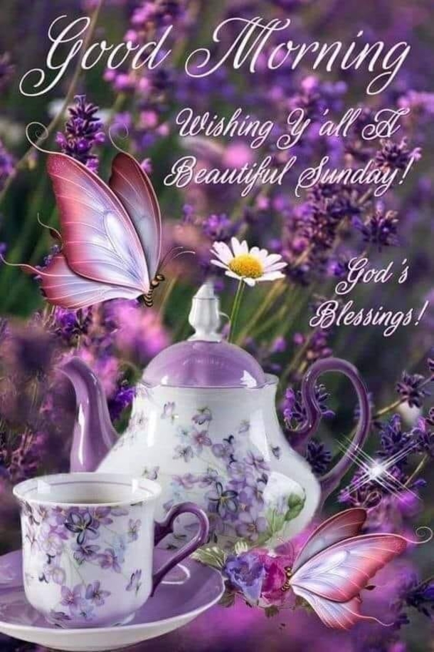 10 Blessed And Beautiful Sunday Wishes & Greetings - picture 6