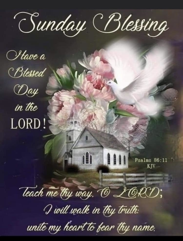 10 Blessed And Beautiful Sunday Wishes & Greetings - picture 9