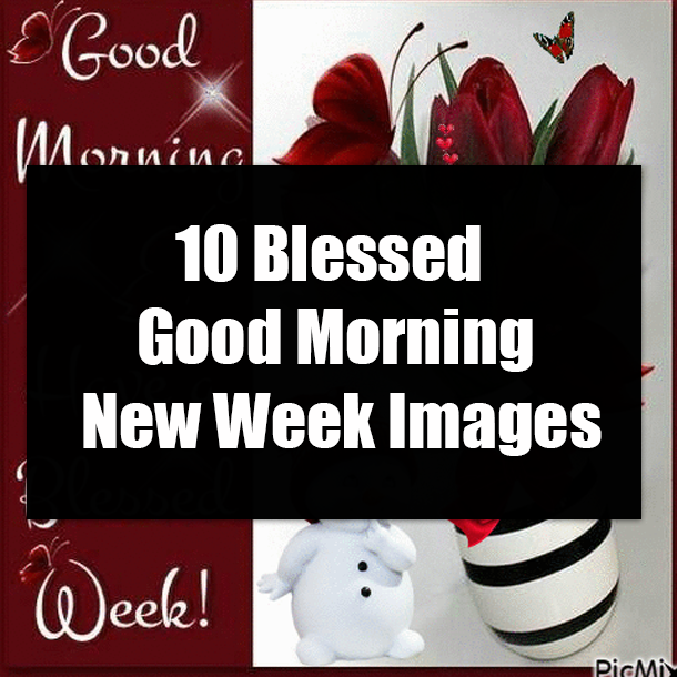 10 Blessed Good Morning New Week Images