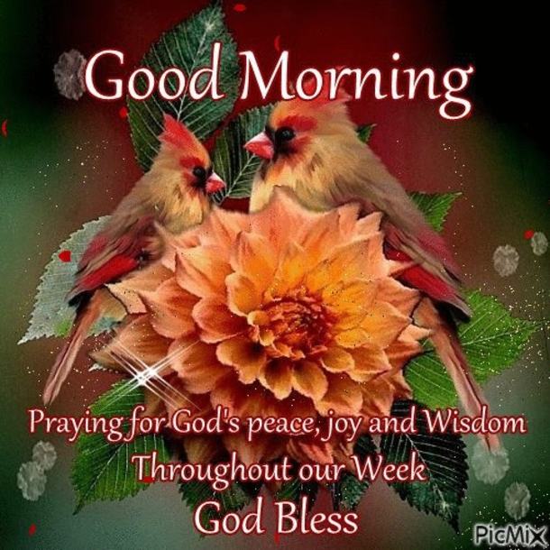 10 Blessed Good Morning New Week Images - picture 12