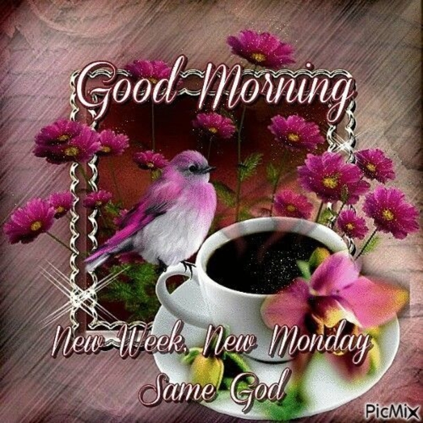 10 Blessed Good Morning New Week Images - picture 4