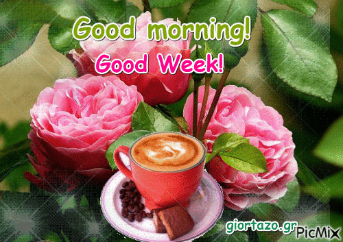 10 Blessed Good Morning New Week Images - picture 7