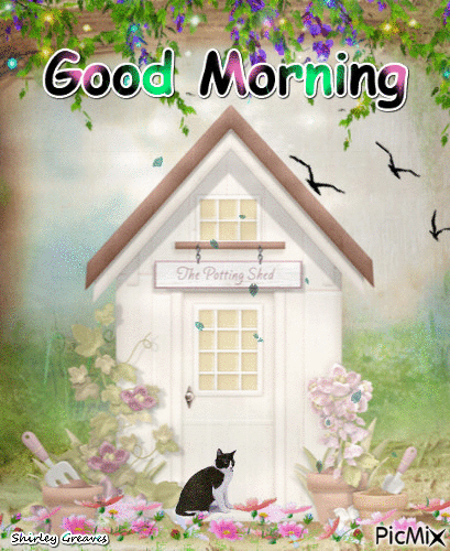 10 Blessed Good Morning Quotes And Gifs That Are So Wonderful - picture 11