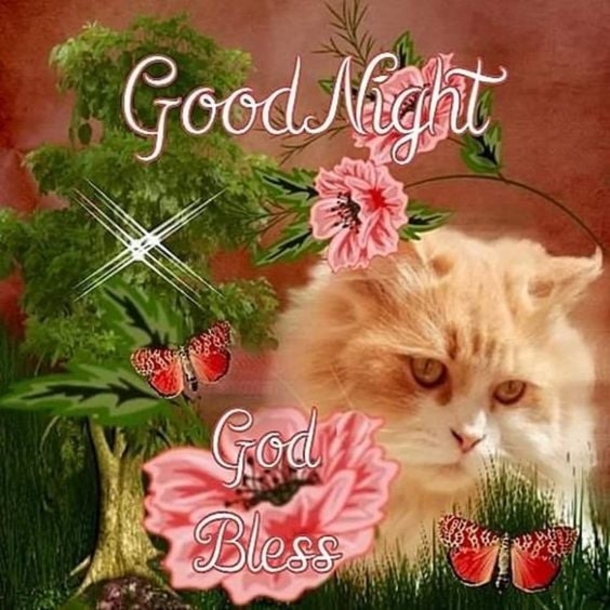 10 Blessed Good Night Quotes, Wishes & Messages - picture 12