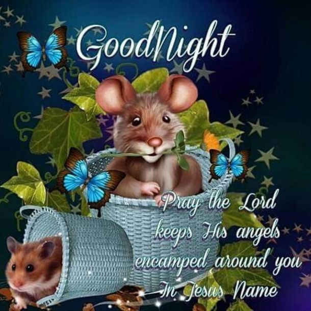 10 Blessed Good Night Quotes, Wishes & Messages - picture 2
