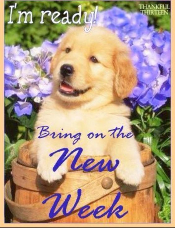 10 Blessed Happy New Week Quotes And Images - picture 11