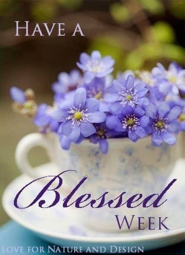 10 Blessed Happy New Week Quotes And Images - picture 9