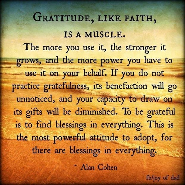 10 Blessed Quotes That Will Make You Grateful For Life - picture 11