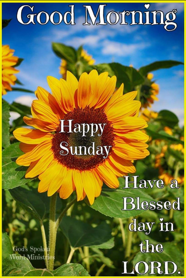10 Blessed Sunday Quotes To Keep Blessings In Your Life - picture 3