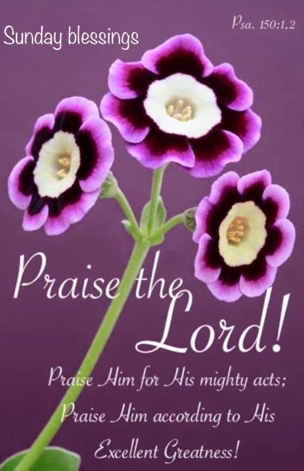 10 Blessed Sunday Quotes To Keep Blessings In Your Life - picture 6