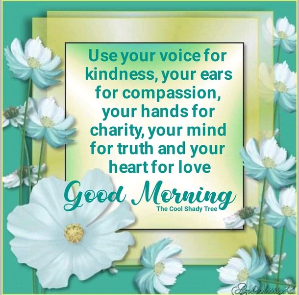 10 Blessed & Beautiful Good Morning Wishes - picture 4