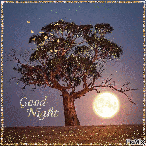 10 Blessed & Beautiful Good Night Gifs Ideas - picture 10