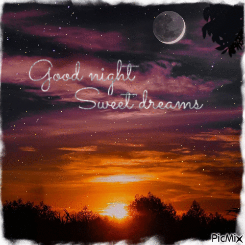 10 Blessed & Beautiful Good Night Gifs Ideas - picture 11