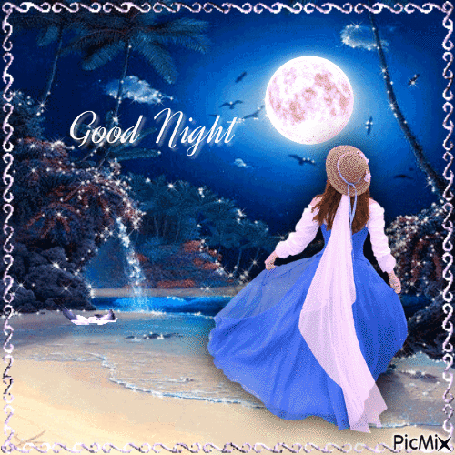 10 Blessed & Beautiful Good Night Gifs Ideas - picture 8