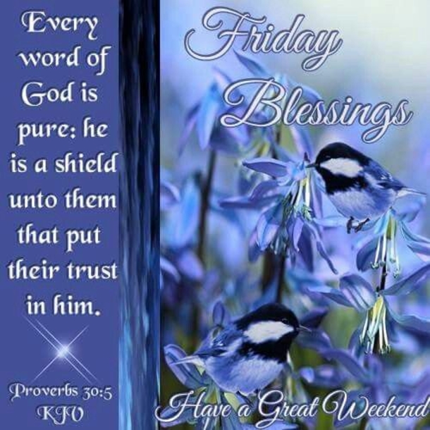 10 Blessed & Happy Friday Quotes To Boost Your Day - picture 10