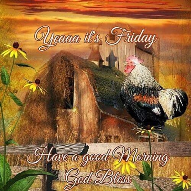 10 Blessed & Happy Friday Quotes To Boost Your Day - picture 5