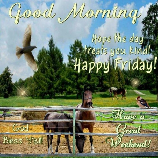 10 Blessed & Happy Friday Quotes To Boost Your Day - picture 7