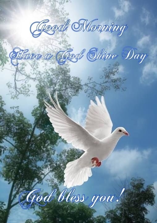 10 Blessed & Special Good Morning Quotes - picture 2