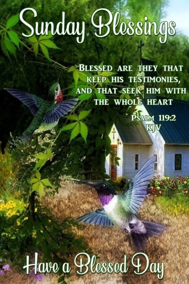 10 Blessed & Uplifting Sunday Images With Quotes - picture 8