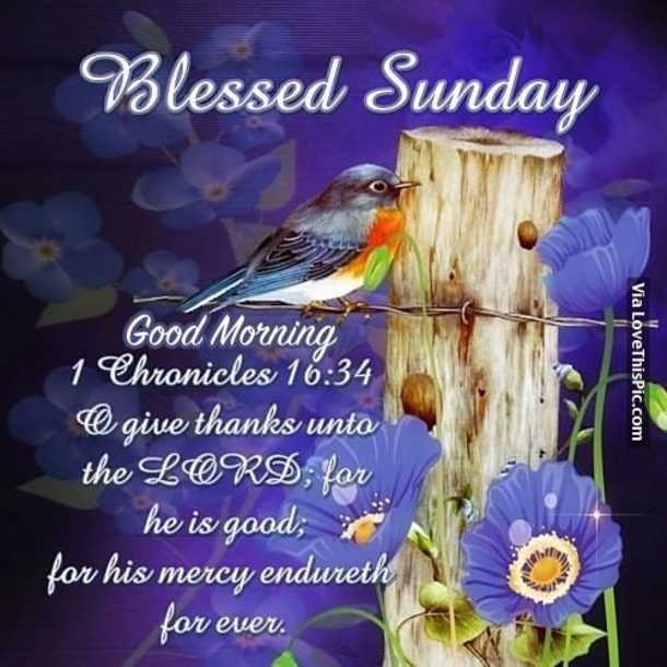 10 Blessed & Uplifting Sunday Images With Quotes - picture 9