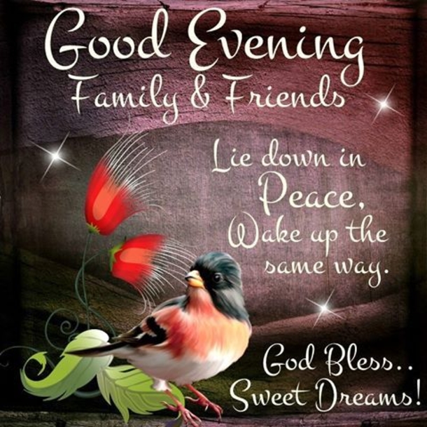 10+ Blissful And Blessed Good Evening Quotes - picture 10
