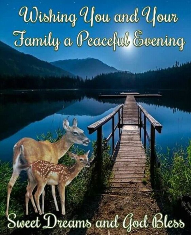 10+ Blissful And Blessed Good Evening Quotes - picture 4