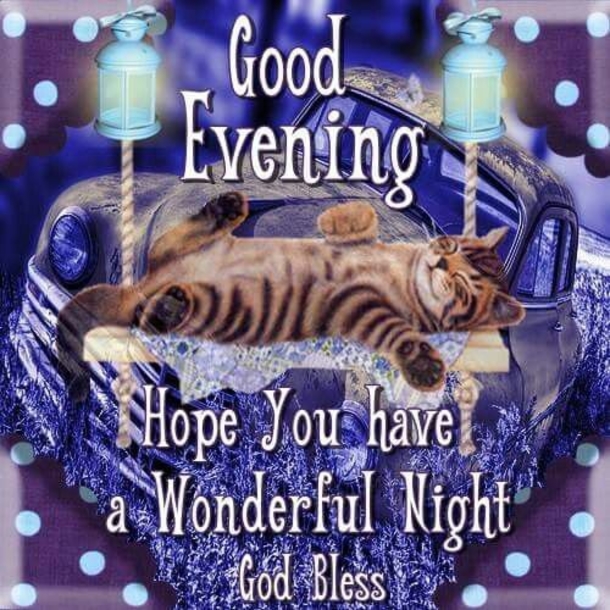10+ Blissful And Blessed Good Evening Quotes - picture 8